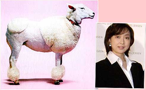Jagnje koje je prodato kao pudlica poznatoj japanskoj glumici Maiko Kavamaki